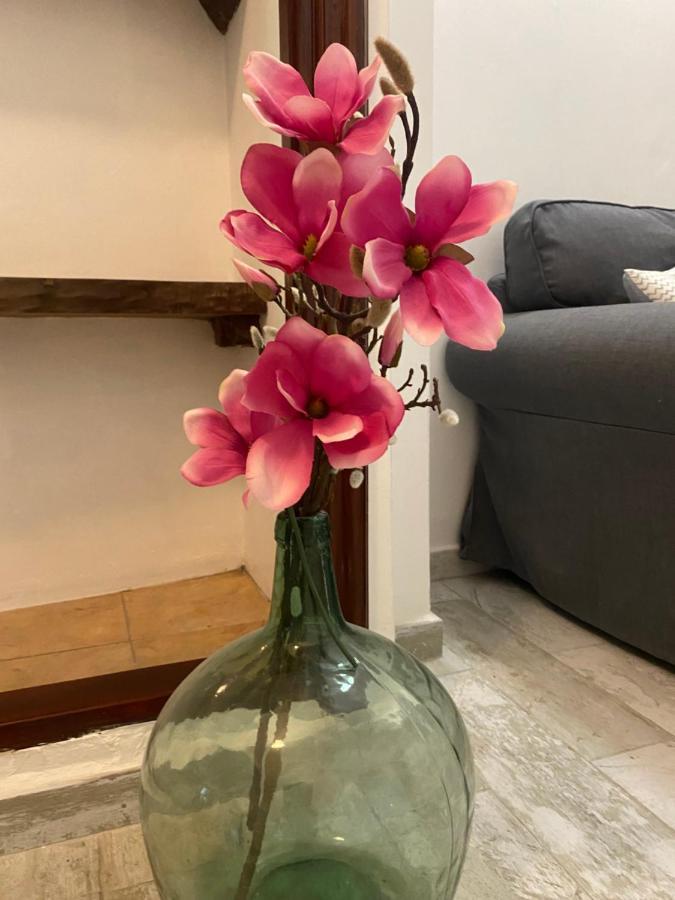 Apartamento La Pepa - Santa Cruz De La Palma Santa Cruz de la Palma  Exteriör bild