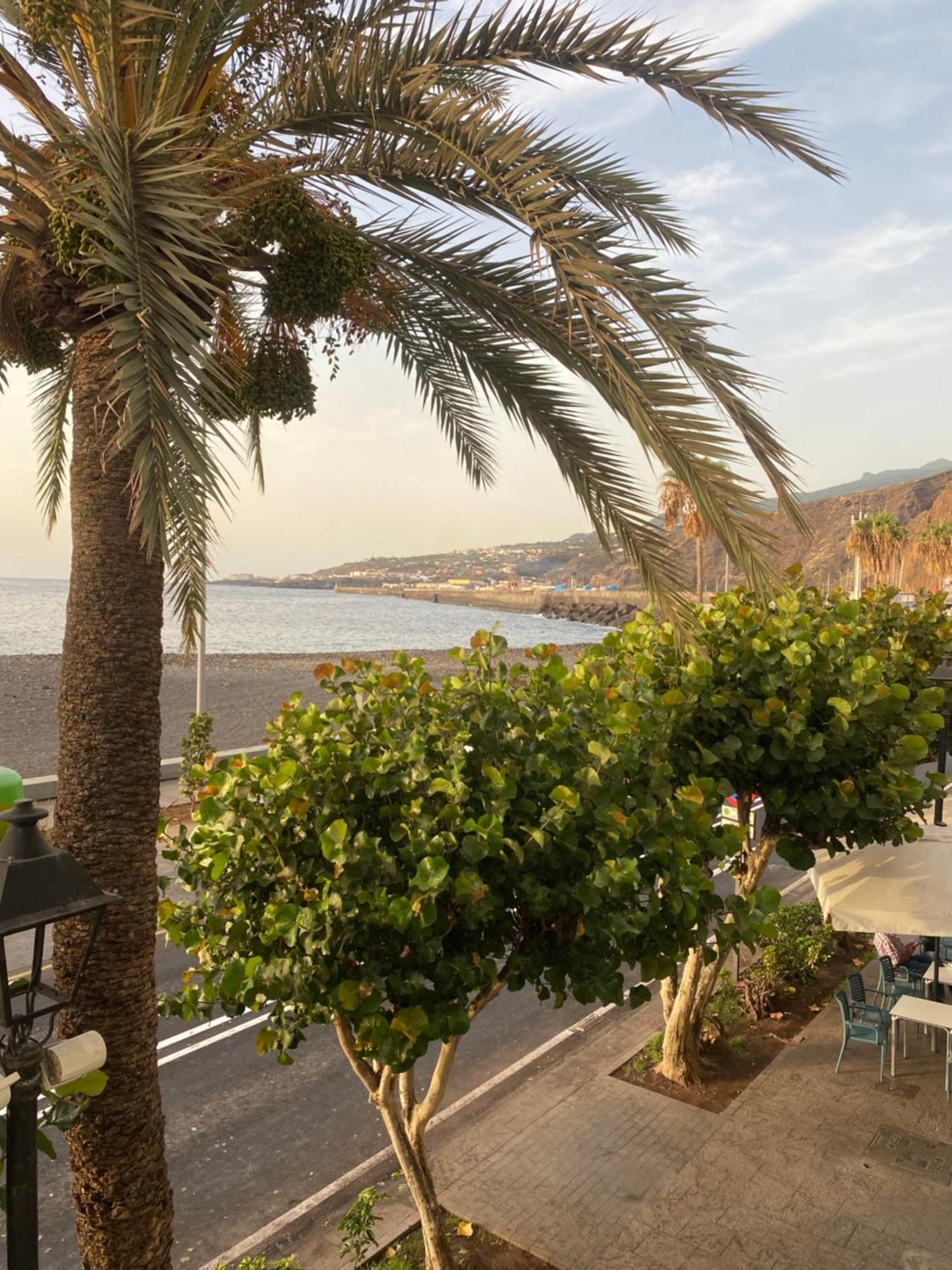 Apartamento La Pepa - Santa Cruz De La Palma Santa Cruz de la Palma  Exteriör bild